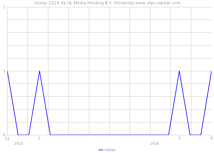 Visitas 2024 de NL Media Holding B.V. (Holanda) 