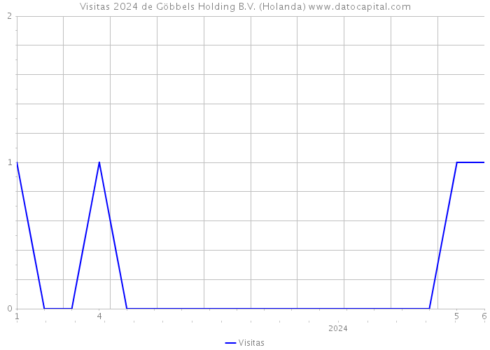 Visitas 2024 de Göbbels Holding B.V. (Holanda) 