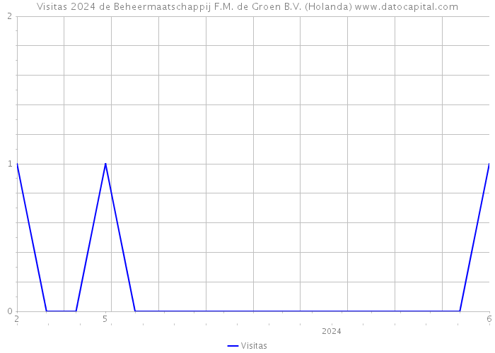 Visitas 2024 de Beheermaatschappij F.M. de Groen B.V. (Holanda) 