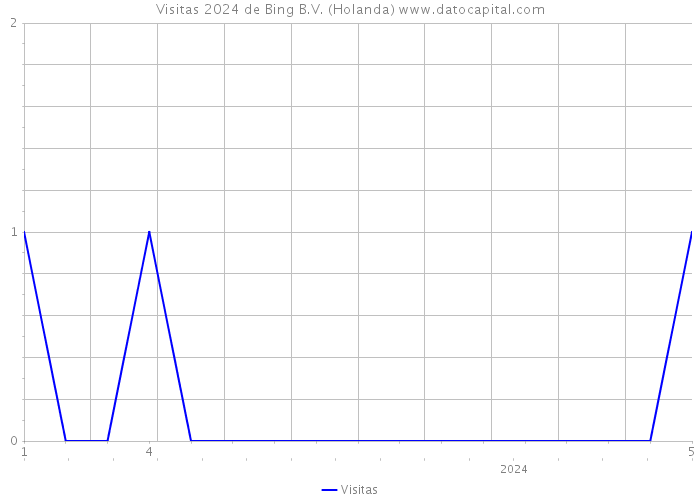 Visitas 2024 de Bing B.V. (Holanda) 
