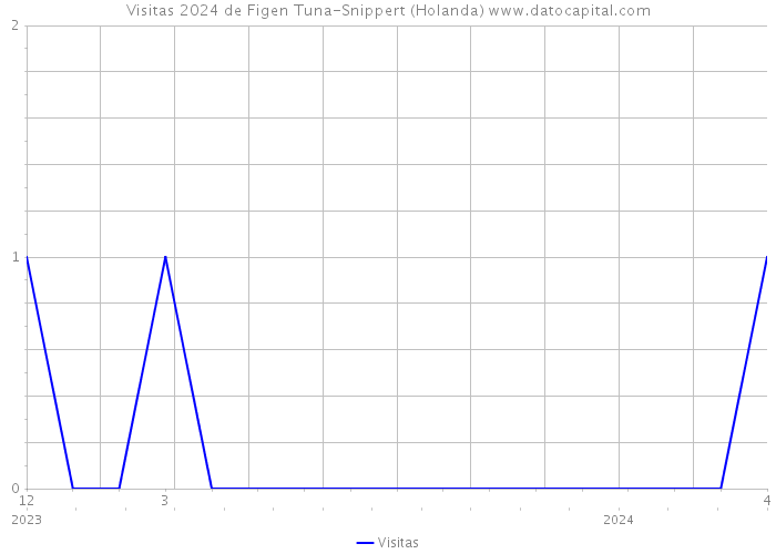 Visitas 2024 de Figen Tuna-Snippert (Holanda) 