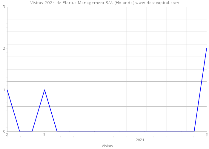 Visitas 2024 de Florius Management B.V. (Holanda) 