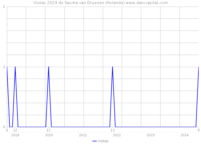 Visitas 2024 de Sascha van Druenen (Holanda) 