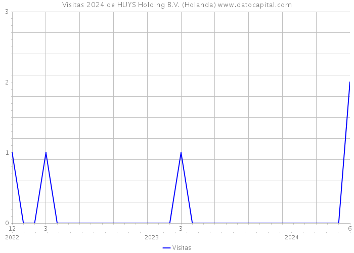 Visitas 2024 de HUYS Holding B.V. (Holanda) 