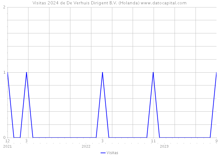 Visitas 2024 de De Verhuis Dirigent B.V. (Holanda) 