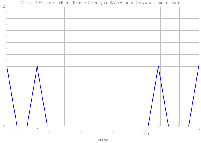 Visitas 2024 de Broekema Beheer Groningen B.V. (Holanda) 