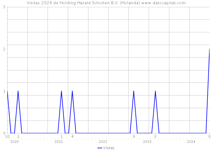 Visitas 2024 de Holding Harald Scholten B.V. (Holanda) 