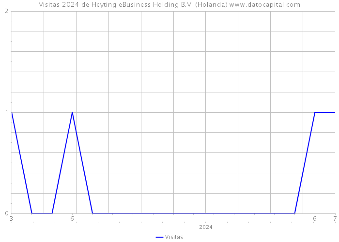Visitas 2024 de Heyting eBusiness Holding B.V. (Holanda) 