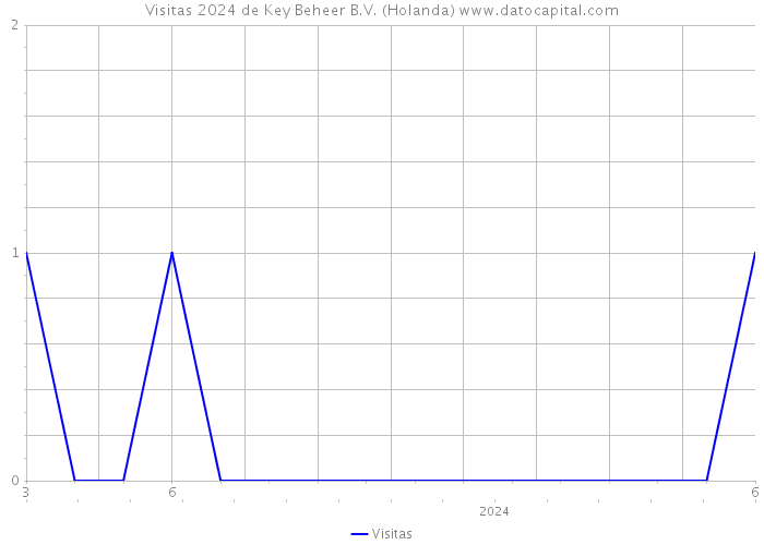 Visitas 2024 de Key Beheer B.V. (Holanda) 