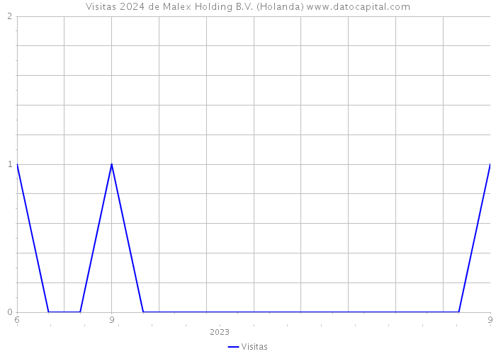 Visitas 2024 de Malex Holding B.V. (Holanda) 