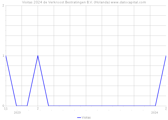Visitas 2024 de Verkroost Bestratingen B.V. (Holanda) 