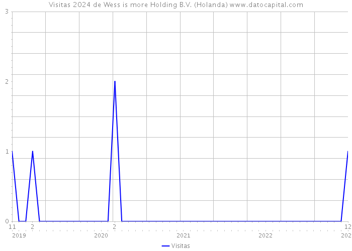 Visitas 2024 de Wess is more Holding B.V. (Holanda) 