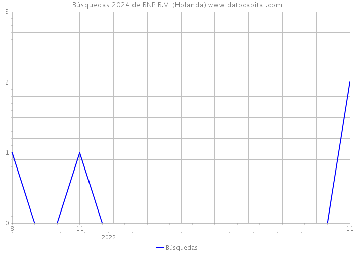 Búsquedas 2024 de BNP B.V. (Holanda) 