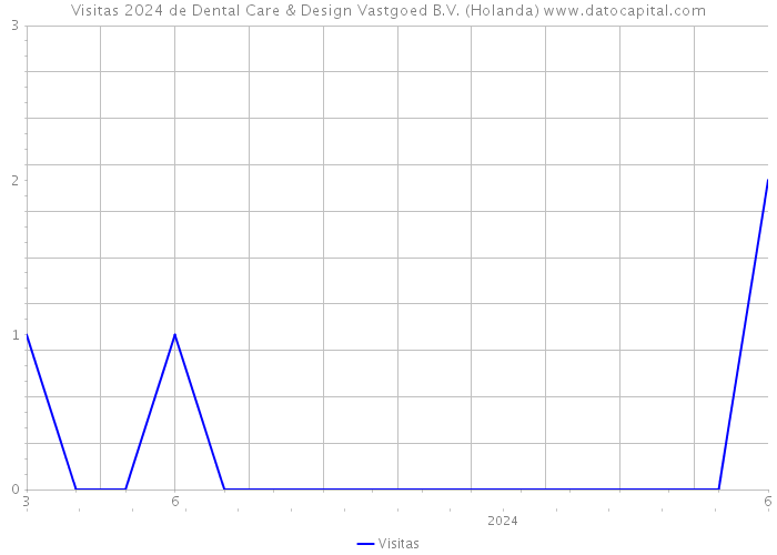Visitas 2024 de Dental Care & Design Vastgoed B.V. (Holanda) 