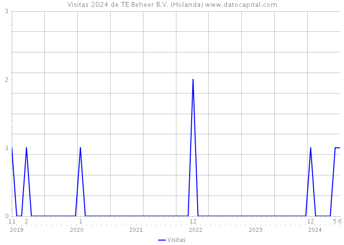 Visitas 2024 de TE Beheer B.V. (Holanda) 