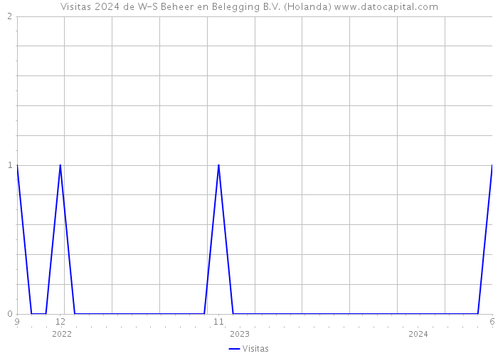 Visitas 2024 de W-S Beheer en Belegging B.V. (Holanda) 
