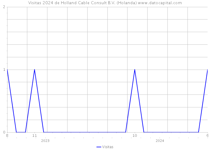 Visitas 2024 de Holland Cable Consult B.V. (Holanda) 