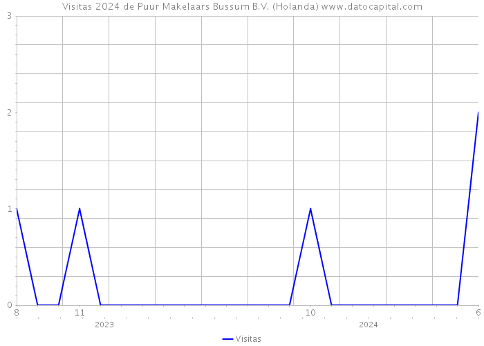 Visitas 2024 de Puur Makelaars Bussum B.V. (Holanda) 