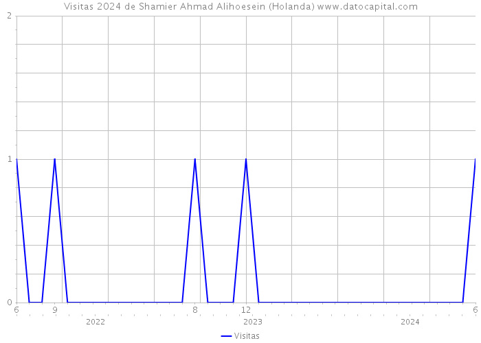 Visitas 2024 de Shamier Ahmad Alihoesein (Holanda) 