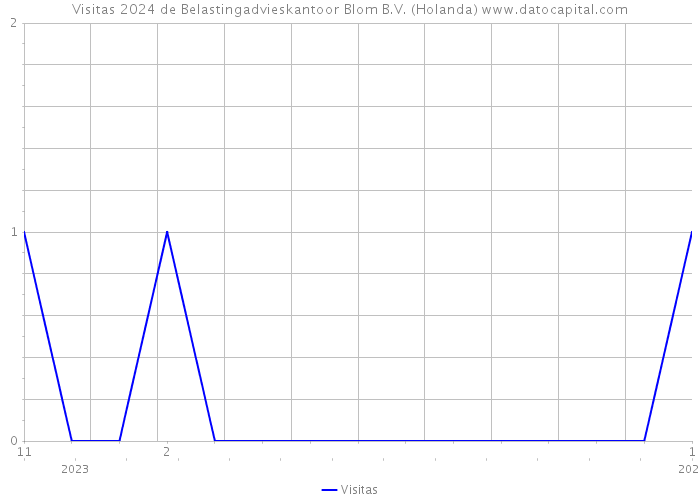 Visitas 2024 de Belastingadvieskantoor Blom B.V. (Holanda) 