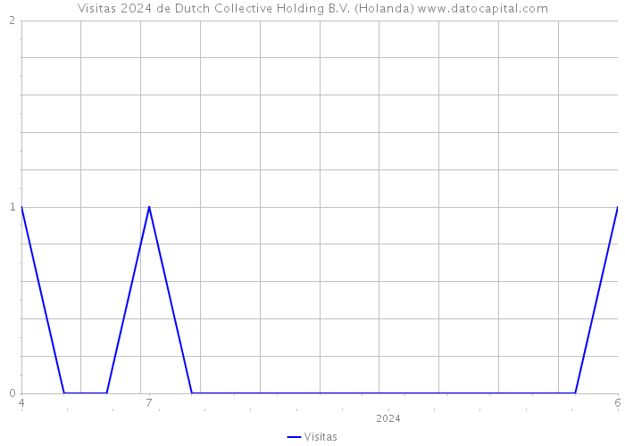 Visitas 2024 de Dutch Collective Holding B.V. (Holanda) 