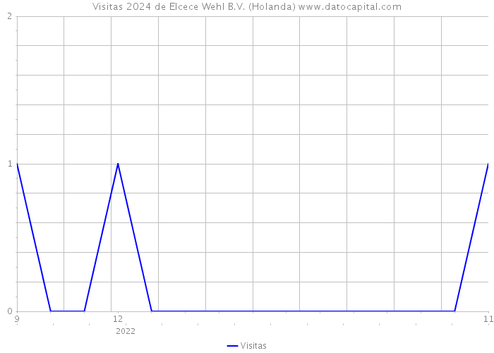 Visitas 2024 de Elcece Wehl B.V. (Holanda) 