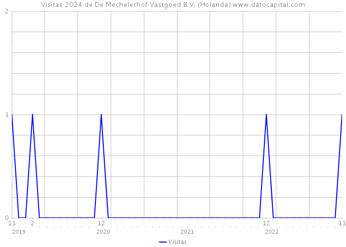 Visitas 2024 de De Mechelerhof Vastgoed B.V. (Holanda) 