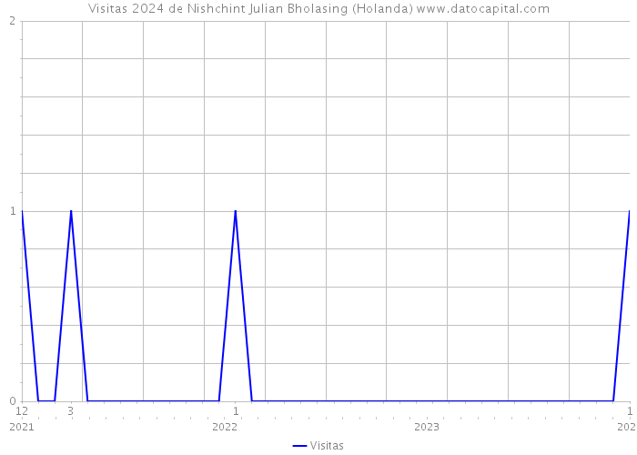 Visitas 2024 de Nishchint Julian Bholasing (Holanda) 