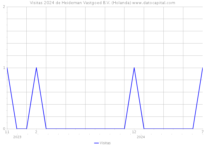 Visitas 2024 de Heideman Vastgoed B.V. (Holanda) 