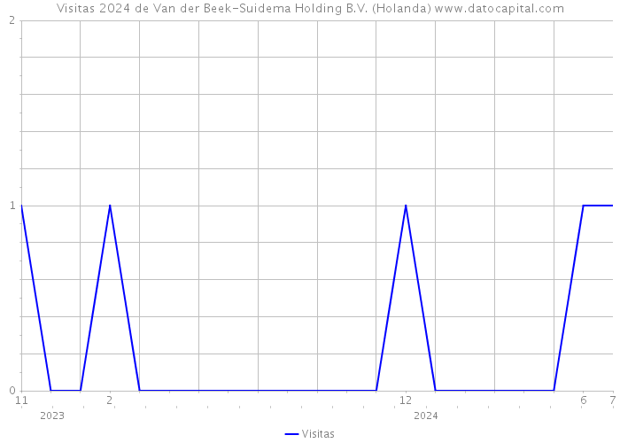 Visitas 2024 de Van der Beek-Suidema Holding B.V. (Holanda) 