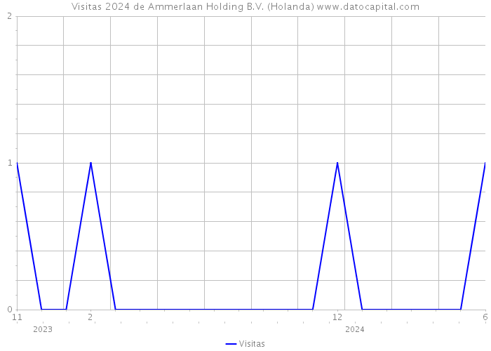 Visitas 2024 de Ammerlaan Holding B.V. (Holanda) 