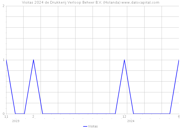 Visitas 2024 de Drukkerij Verloop Beheer B.V. (Holanda) 