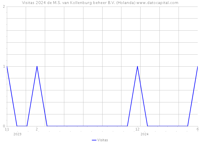 Visitas 2024 de M.S. van Kollenburg beheer B.V. (Holanda) 