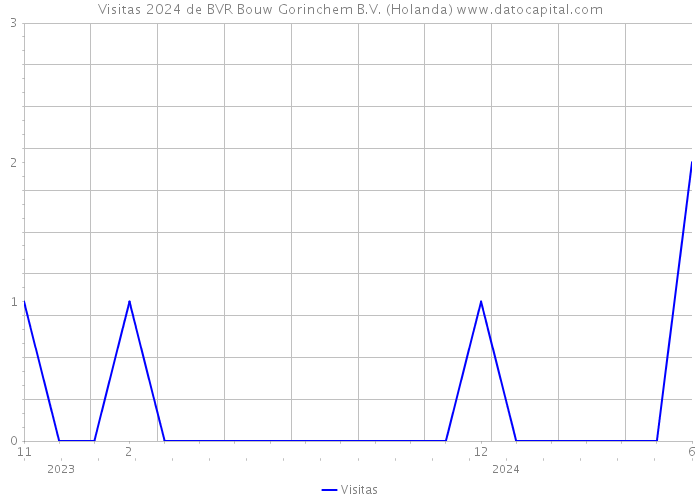 Visitas 2024 de BVR Bouw Gorinchem B.V. (Holanda) 