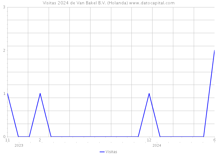 Visitas 2024 de Van Bakel B.V. (Holanda) 