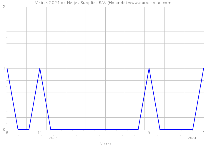 Visitas 2024 de Netjes Supplies B.V. (Holanda) 