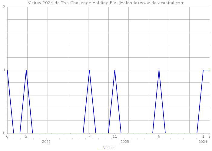 Visitas 2024 de Top Challenge Holding B.V. (Holanda) 