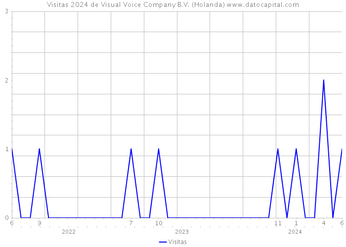 Visitas 2024 de Visual Voice Company B.V. (Holanda) 