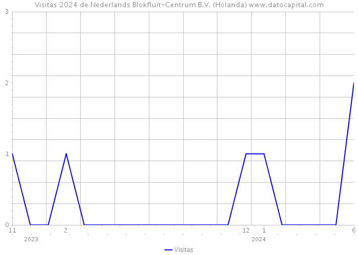 Visitas 2024 de Nederlands Blokfluit-Centrum B.V. (Holanda) 