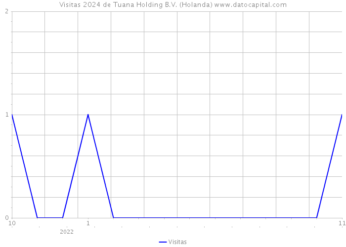 Visitas 2024 de Tuana Holding B.V. (Holanda) 