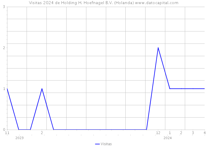 Visitas 2024 de Holding H. Hoefnagel B.V. (Holanda) 