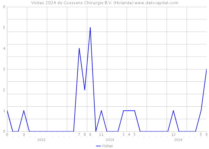 Visitas 2024 de Goessens Chirurgie B.V. (Holanda) 