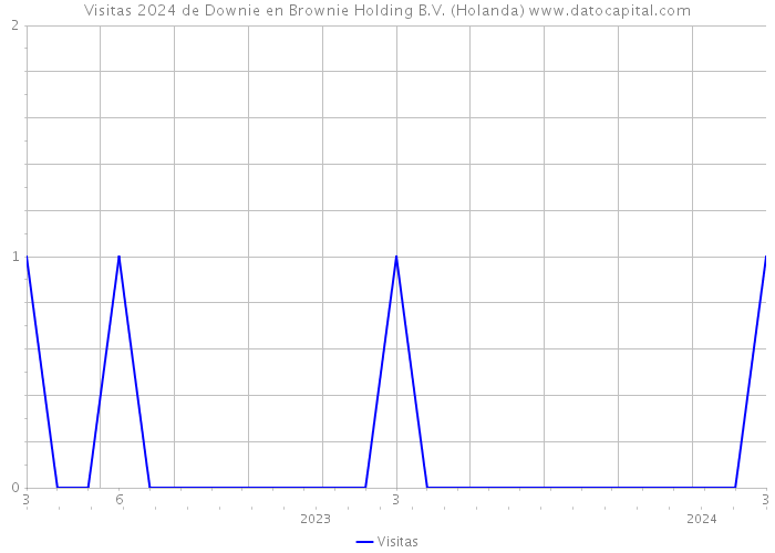 Visitas 2024 de Downie en Brownie Holding B.V. (Holanda) 