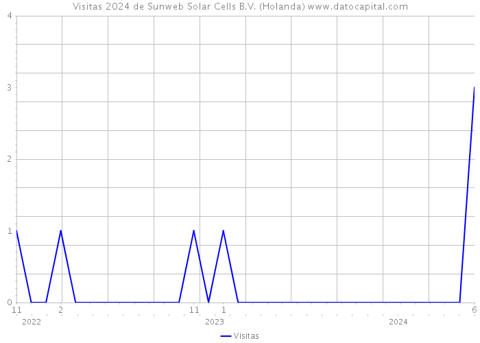 Visitas 2024 de Sunweb Solar Cells B.V. (Holanda) 