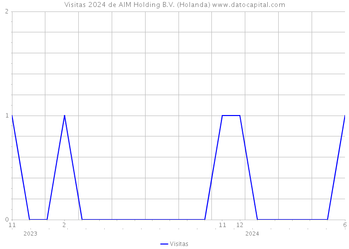 Visitas 2024 de AIM Holding B.V. (Holanda) 