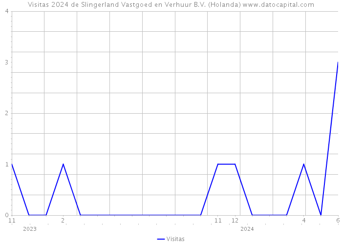 Visitas 2024 de Slingerland Vastgoed en Verhuur B.V. (Holanda) 