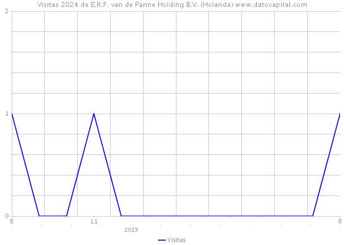 Visitas 2024 de E.R.F. van de Panne Holding B.V. (Holanda) 