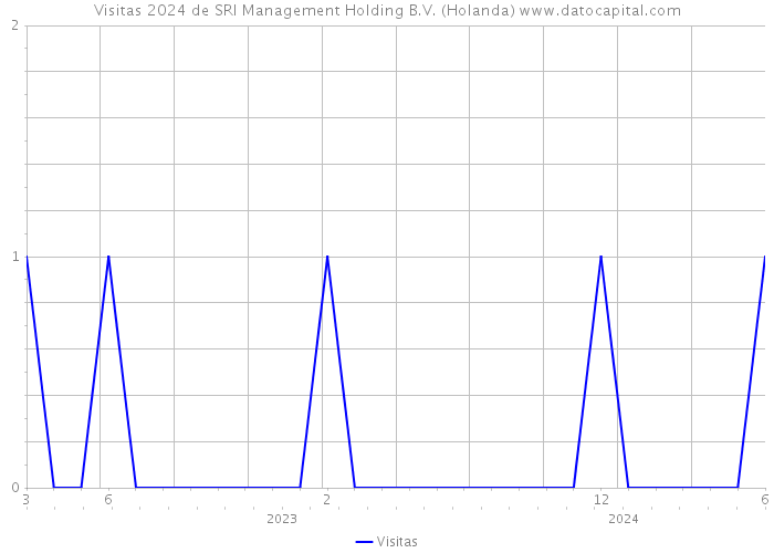 Visitas 2024 de SRI Management Holding B.V. (Holanda) 
