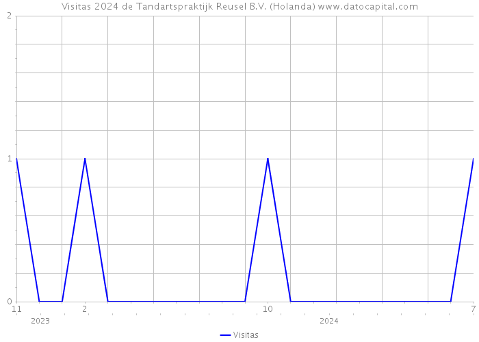 Visitas 2024 de Tandartspraktijk Reusel B.V. (Holanda) 