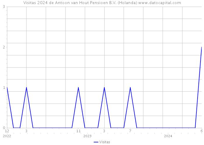 Visitas 2024 de Antoon van Hout Pensioen B.V. (Holanda) 